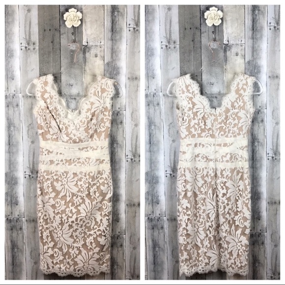 Tadashi Shoji Lace & Tulle Sheath Dress Sz 2 EUC - Picture 2 of 8